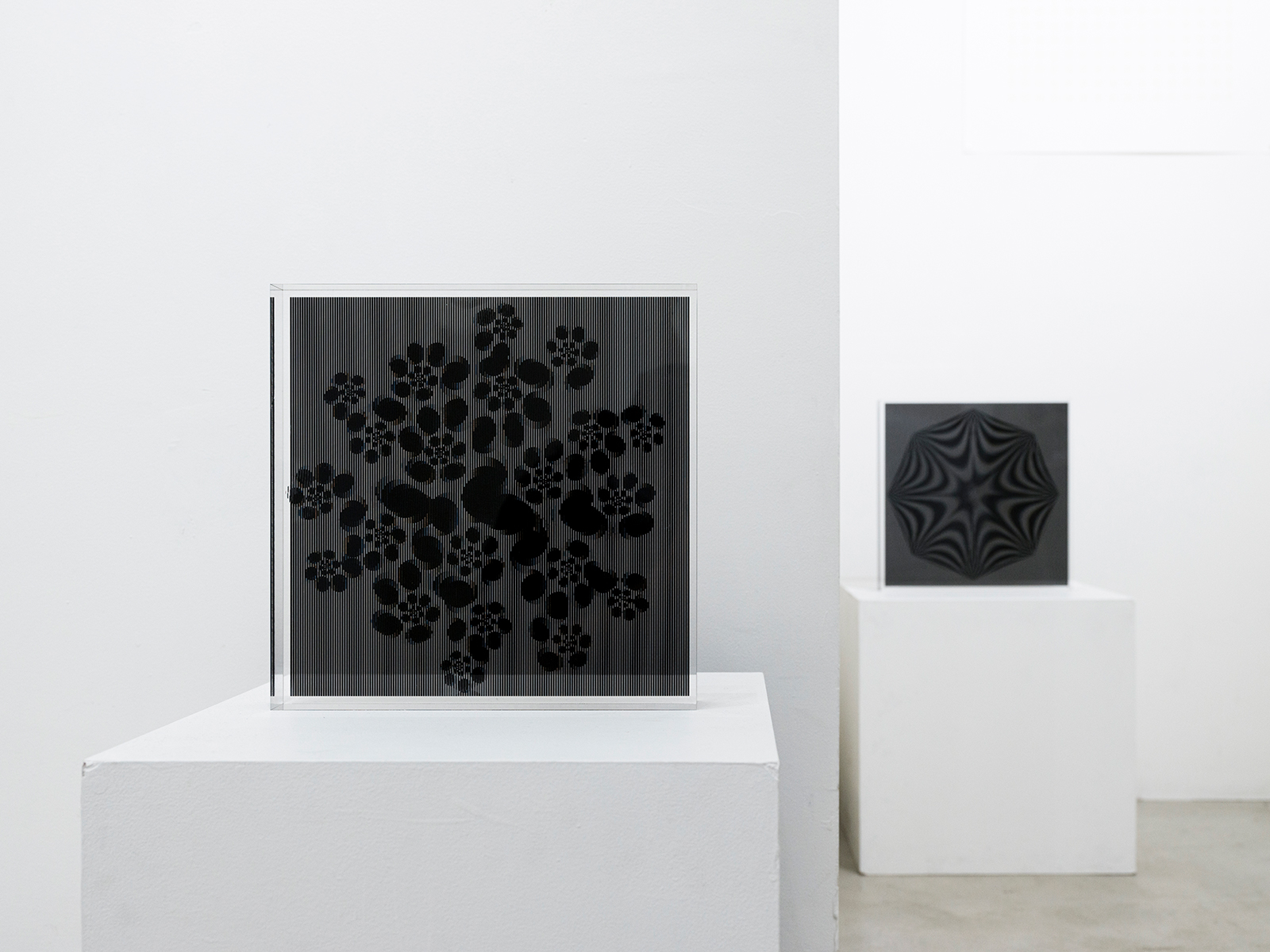 Takahiro Kurashima Exhibition at print gallery Tokyo, 2020